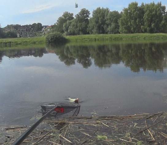 Feederangel Feedern das Angeln im kleinen Fluss